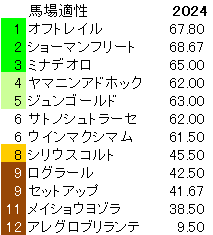 2024　ラジオNIKKEI賞　馬場適性指数